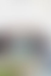 ФЕВРАЛЬ. Курсы по флористике MALVA SCHOOL.