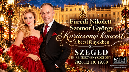 Karácsonyi koncert a bécsi fényekben_fekvő.png