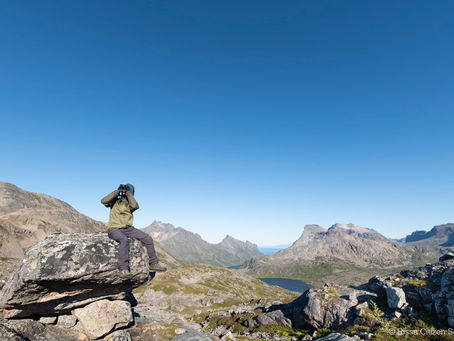 A volunteer of A Helping Hand with Rissa Citizen Science in Ånderdalen National Park