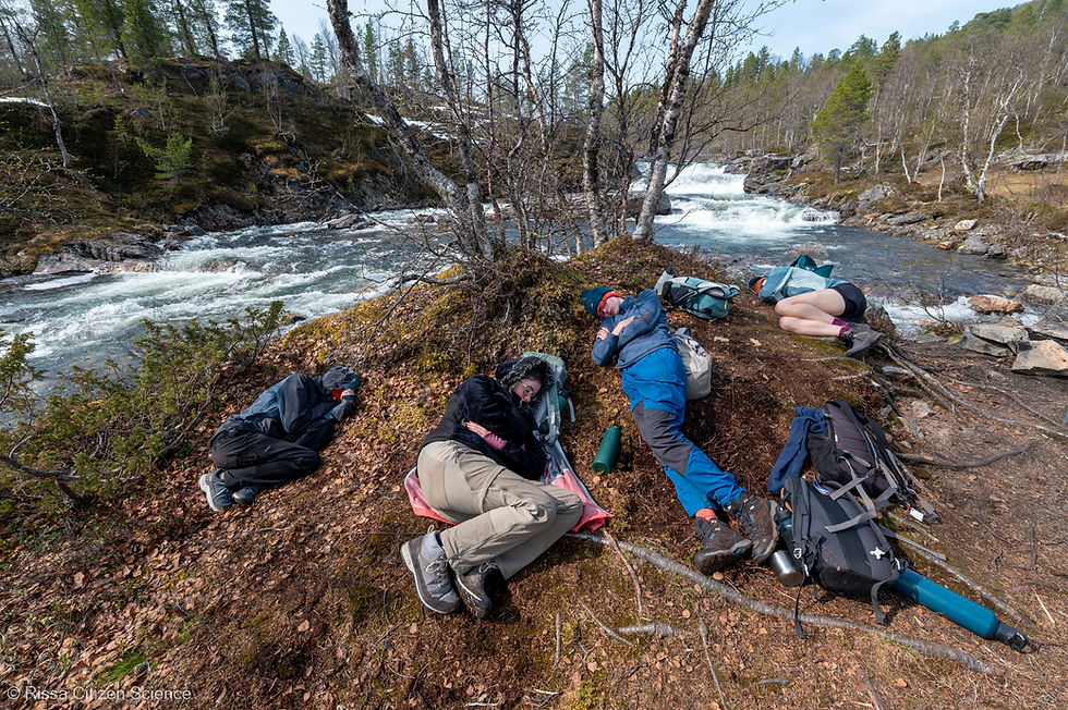 Volunteers taking a nap in Ånderdalen National Park