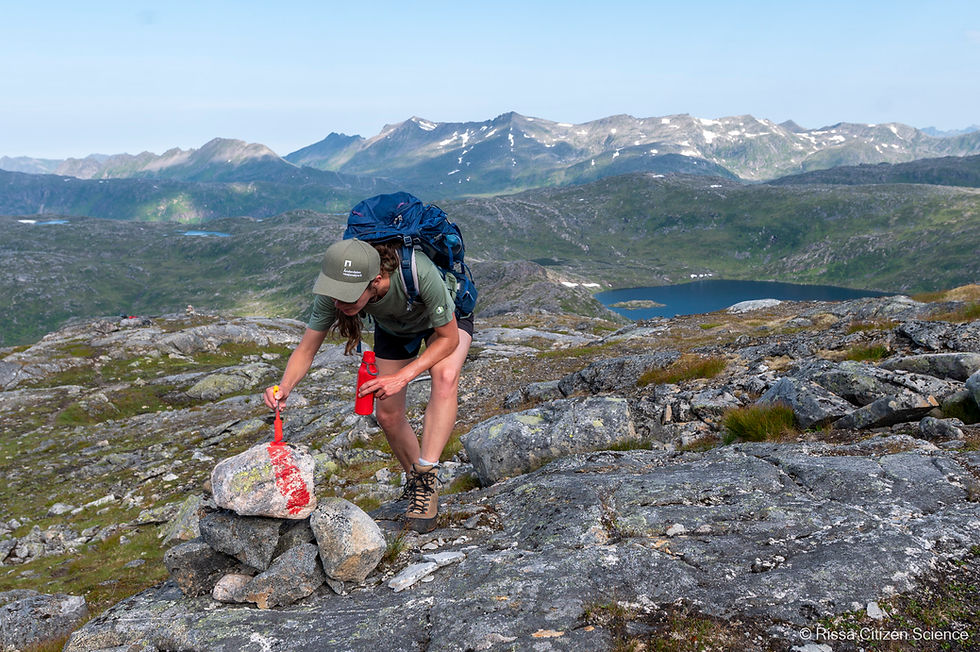 Join the Helping Hand project and give back to nature on Senja.