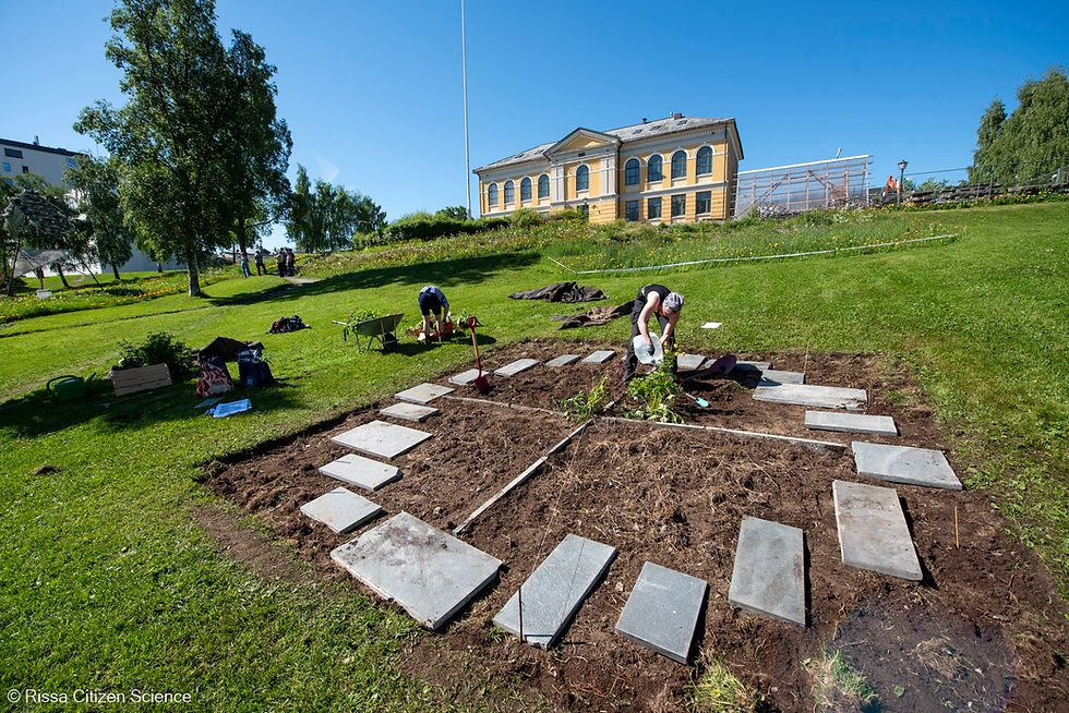 The fertilizer testing site in Muséparken, a collaboration between ViNN and Rissa Citizen Science, facilitated by Tromsø Kommune.