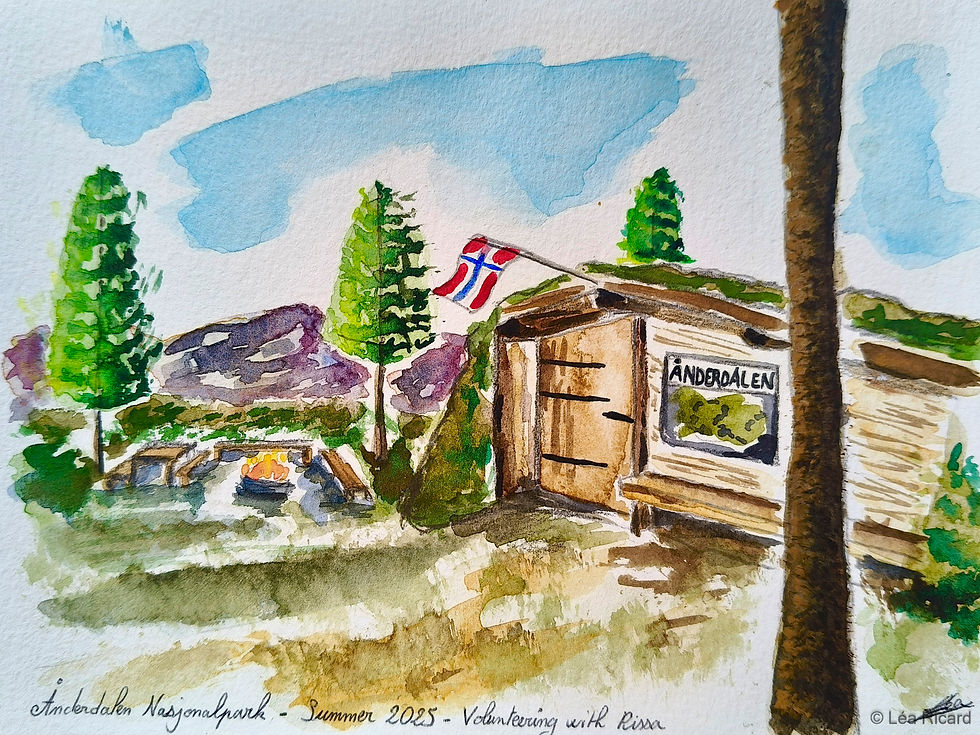 Ånderdalen National Park, by Léa Ricard.