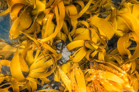 Creating blue communities in Øksfjord, Finnmark