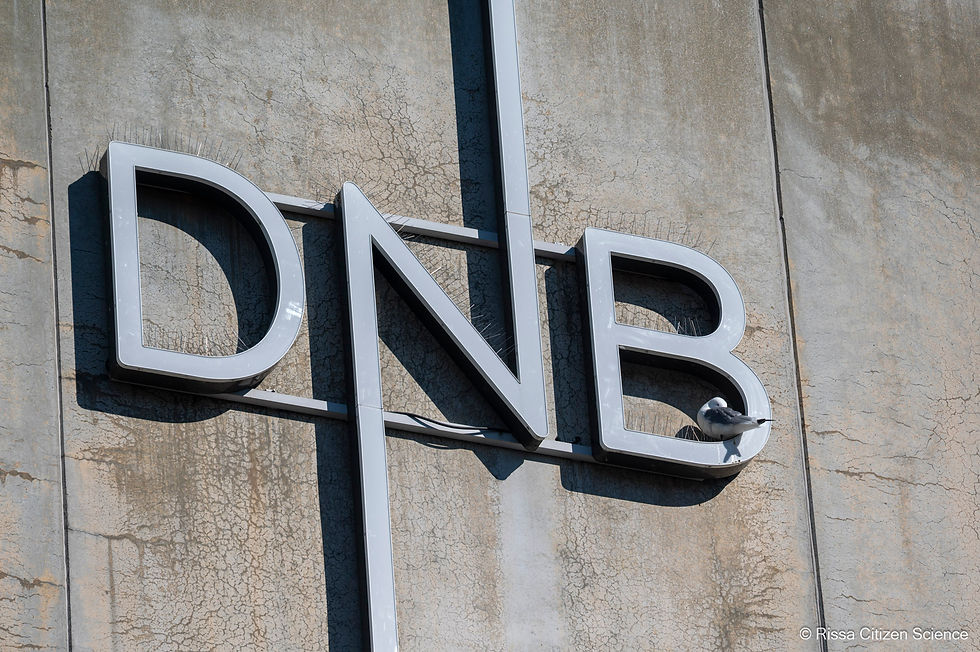 Spikes to ward off kittiwakes on the DNB sign in Tromsø in 2026