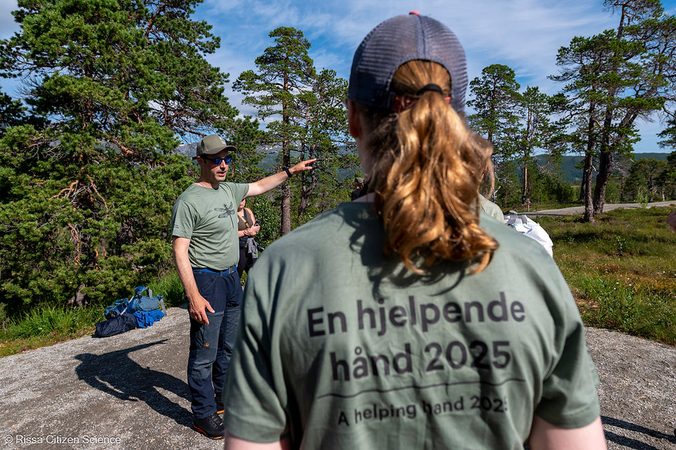 Ingve Birkeland (Ånderdalen nasjonalparks forvalter) orienterer de frivillige.