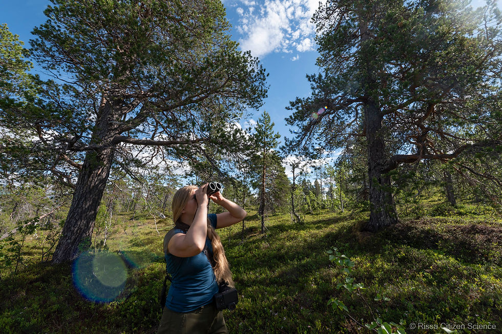 A participant of the pilot in 2024 mapping birds in Ånderdalen National Park.