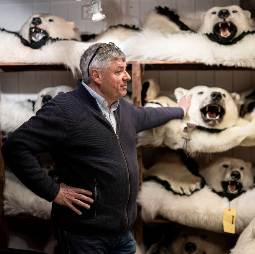 Kjetil Sørensen and his polar bear skins in his shop in Bergen