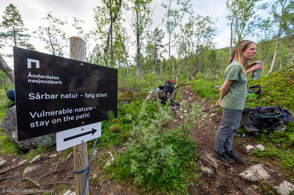 Skilt som inviterer turgåere til å følge den alternative løypa i Ånderdalen nasjonalpark.