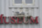Kittiwakes nesting on a building in Tromsø city center.