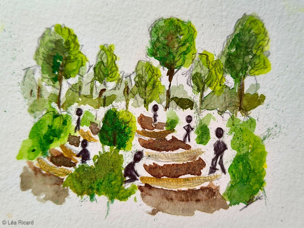 Ånderdalen National Park, by Léa Ricard.