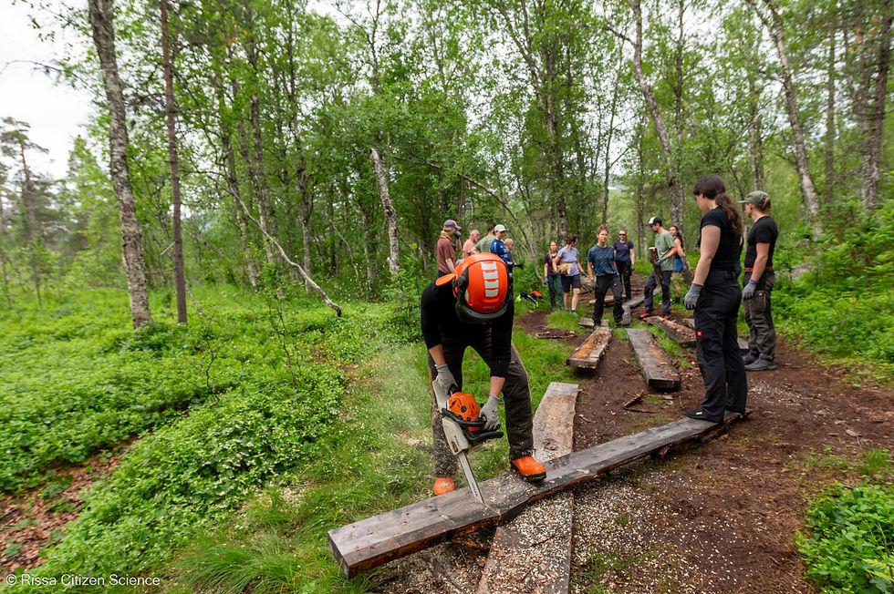 Frivillige bistår en Fjelltjenesten-tekniker med å bygge en strandpromenade i Ånderdalen nasjonalpark.