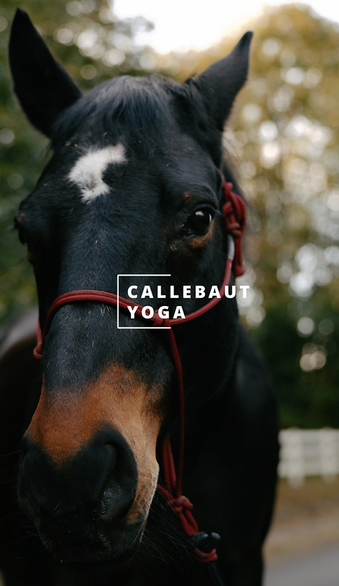 Screenshot 2025-12-14 at 8.00.50 PM.png