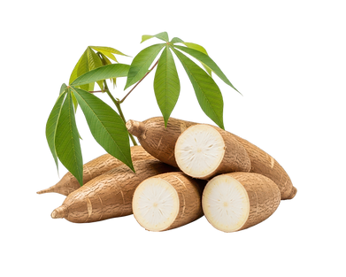 c00df66f-7abb-4750-a980-e4951940de29.png