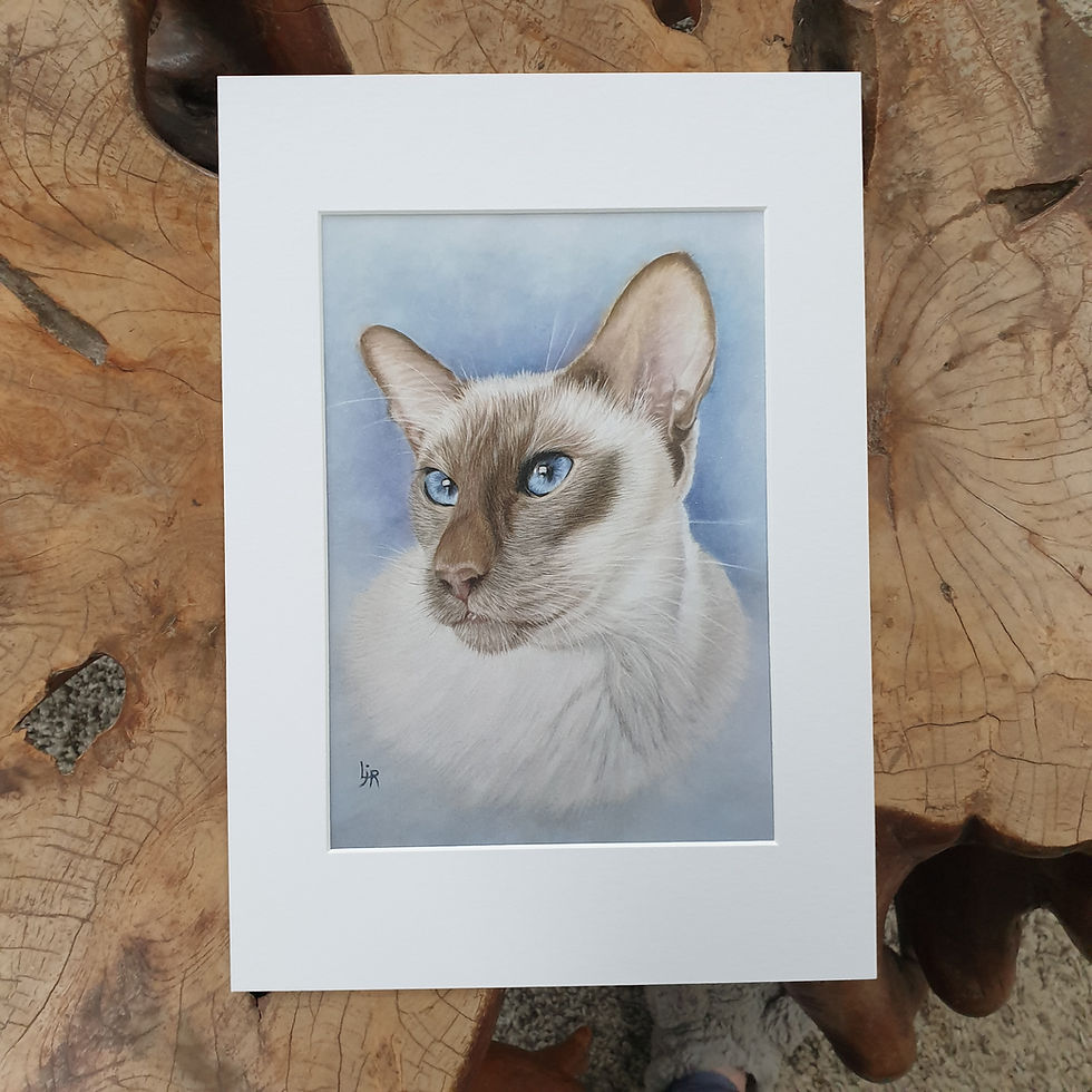 Thumbnail: 'Suki' - print