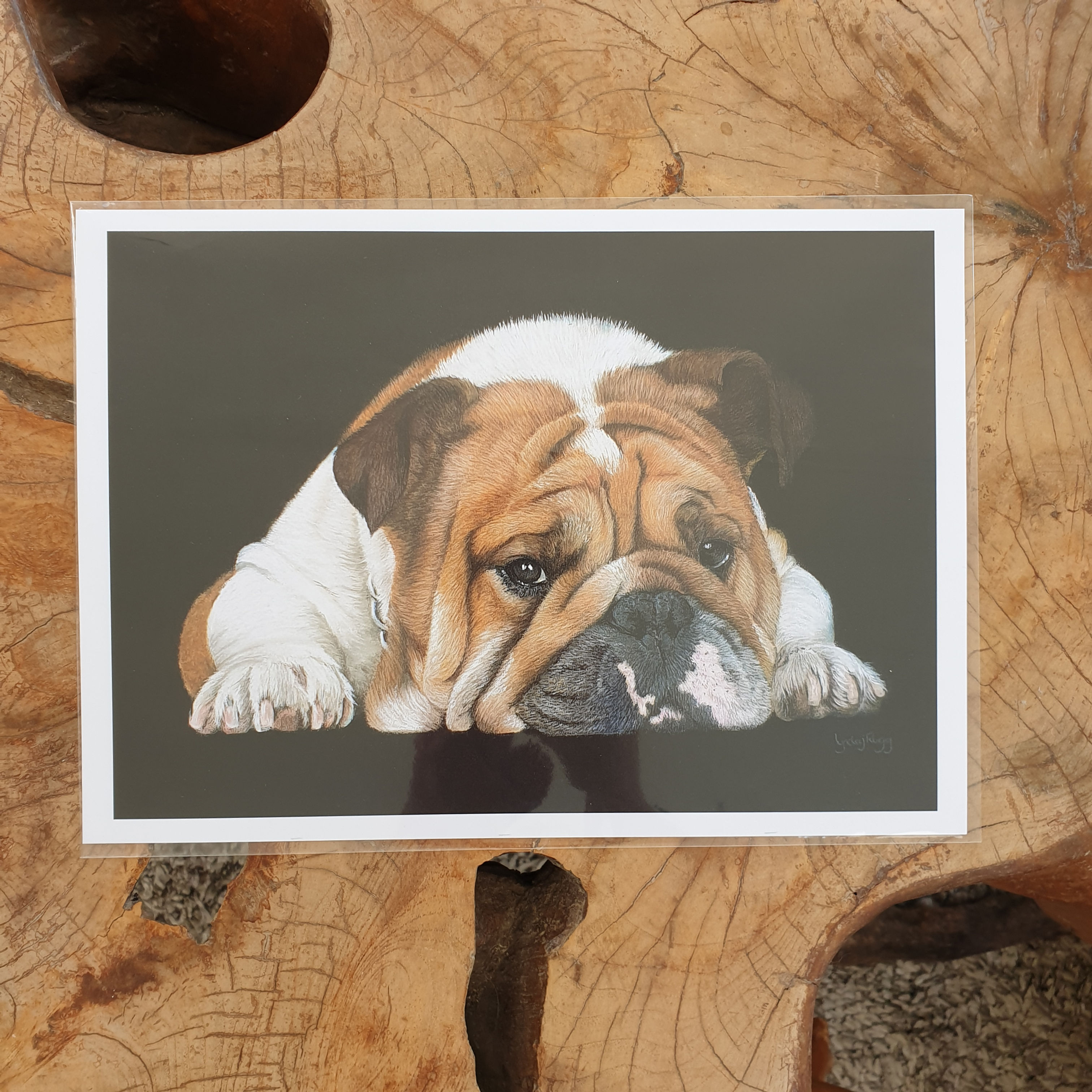 'Dozer the Bulldog' - print
