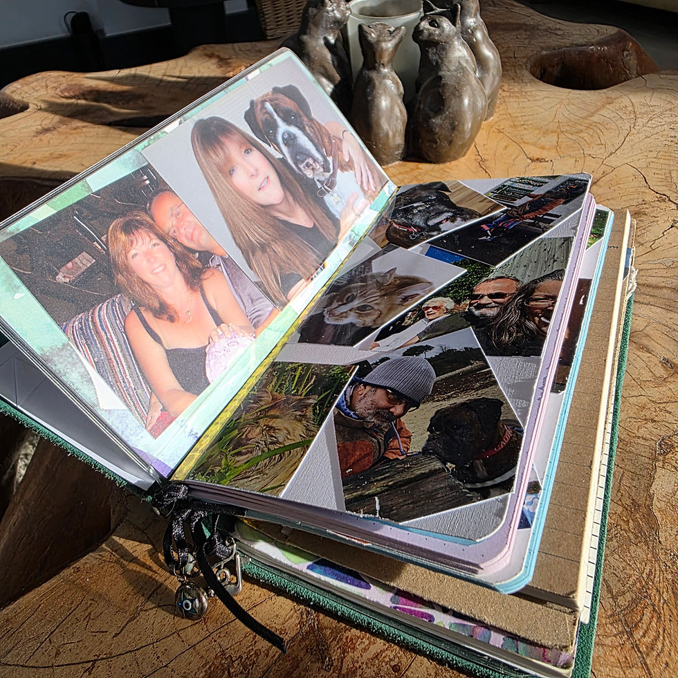 Favourite photos in the journal