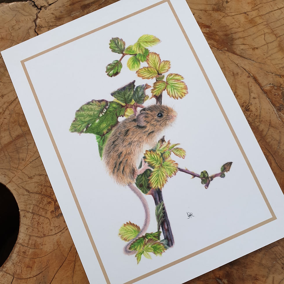 Thumbnail: 'The Bramble climber' - print