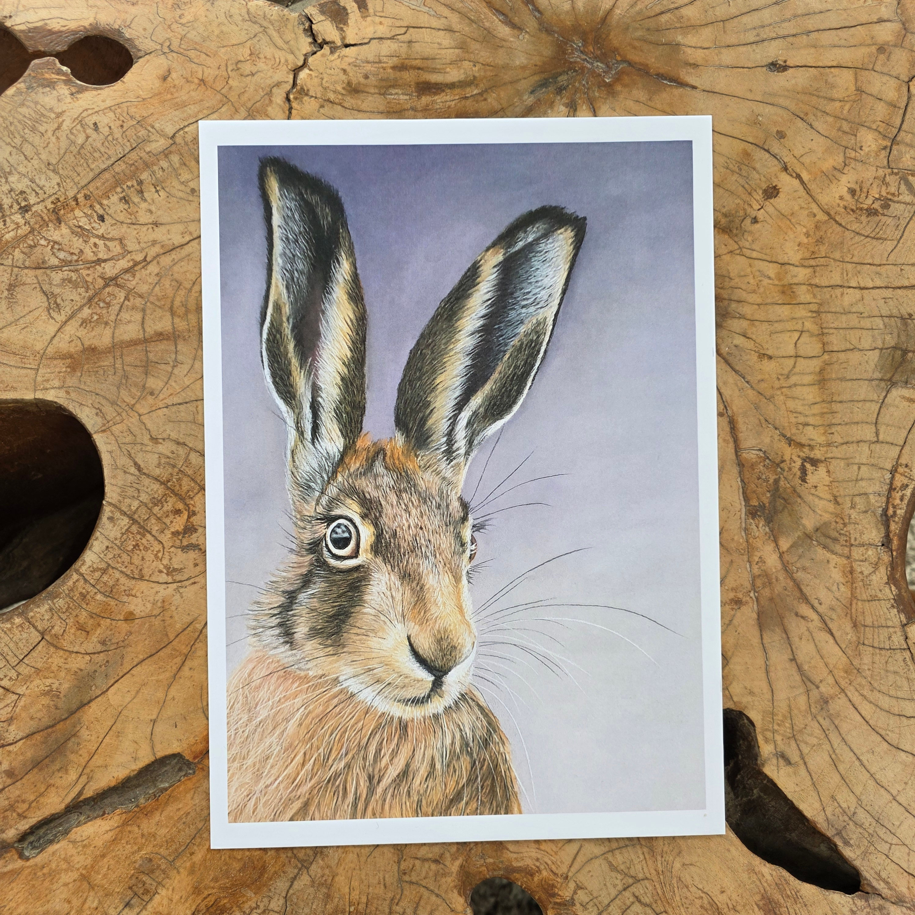 'Natures Sprinter' - print