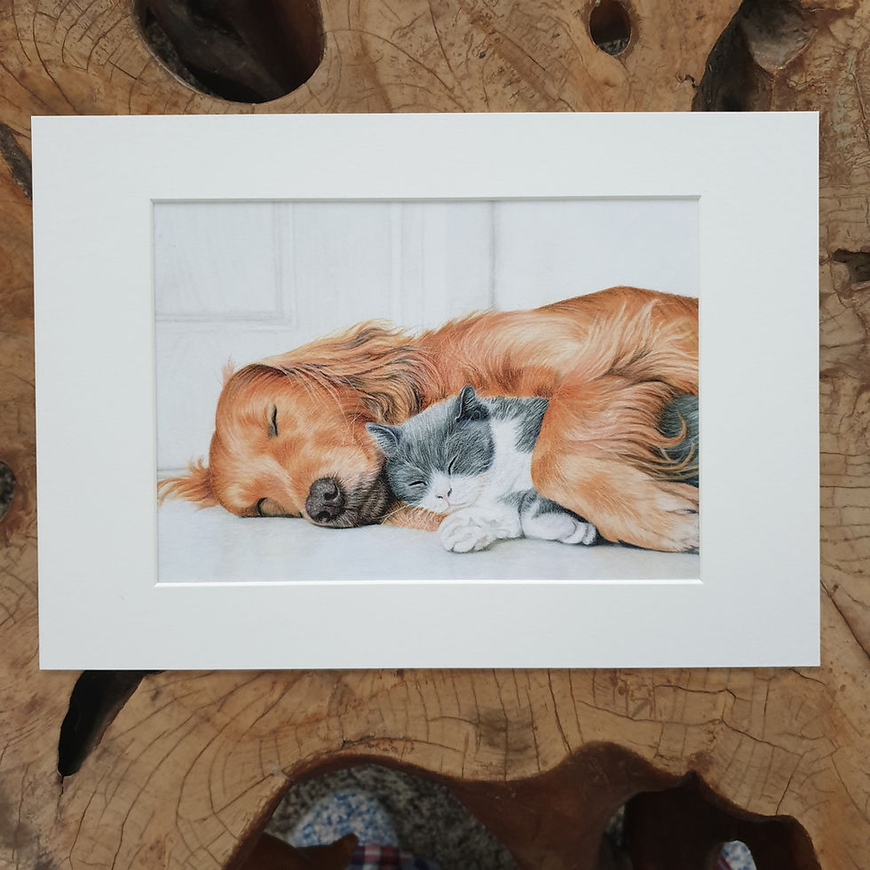 Thumbnail: 'Sleeping Friends' - print