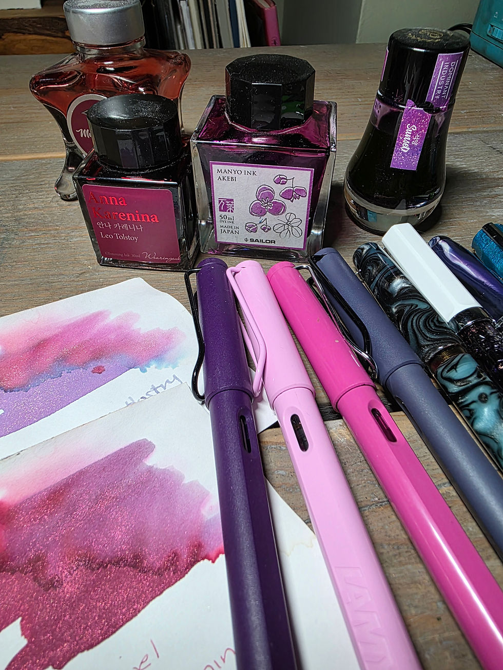 Lmy Safari fountain pens