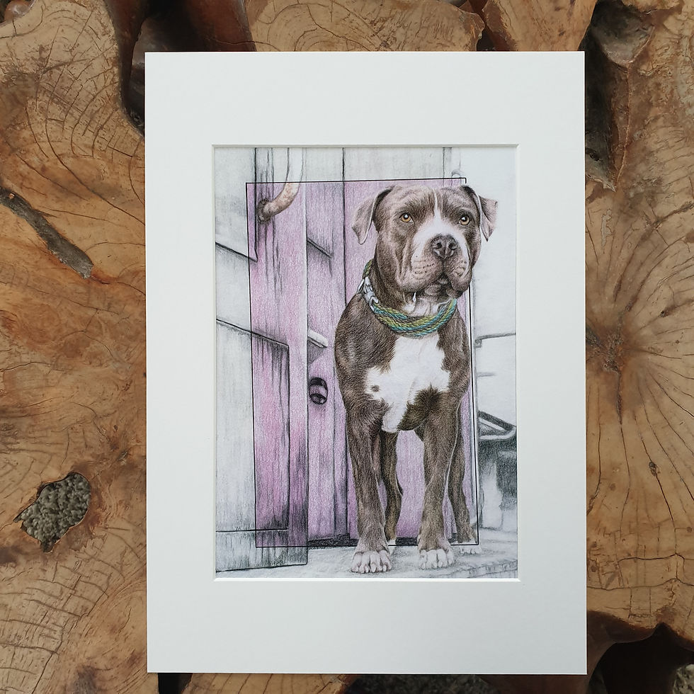 Thumbnail: 'Sidecar Bella' - print