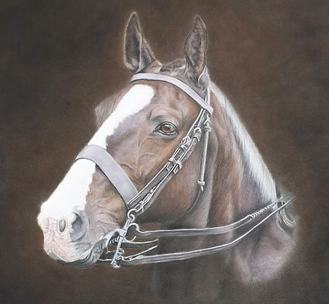 bay horse with reins drawn in soft pastel