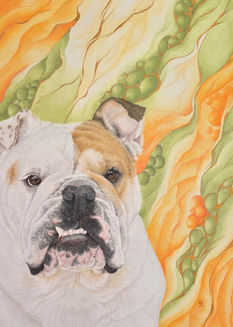 Bulldog against a colourful marble effect background. Colour pencil.