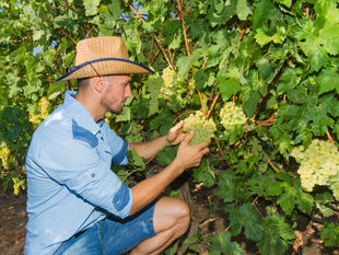 Seasonal Worker Incentive 5 Dec 2017