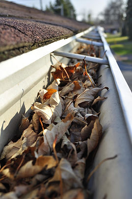 clogged gutters in Youngstown