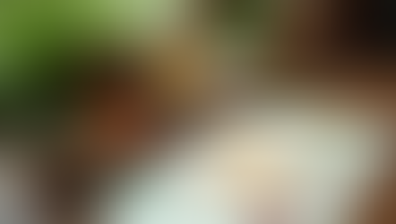 Understanding Ayurvedic Dosha Tests: A Path to Personalized Wellness