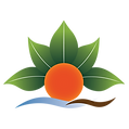 SSw Logo 2026 without circle-01.png