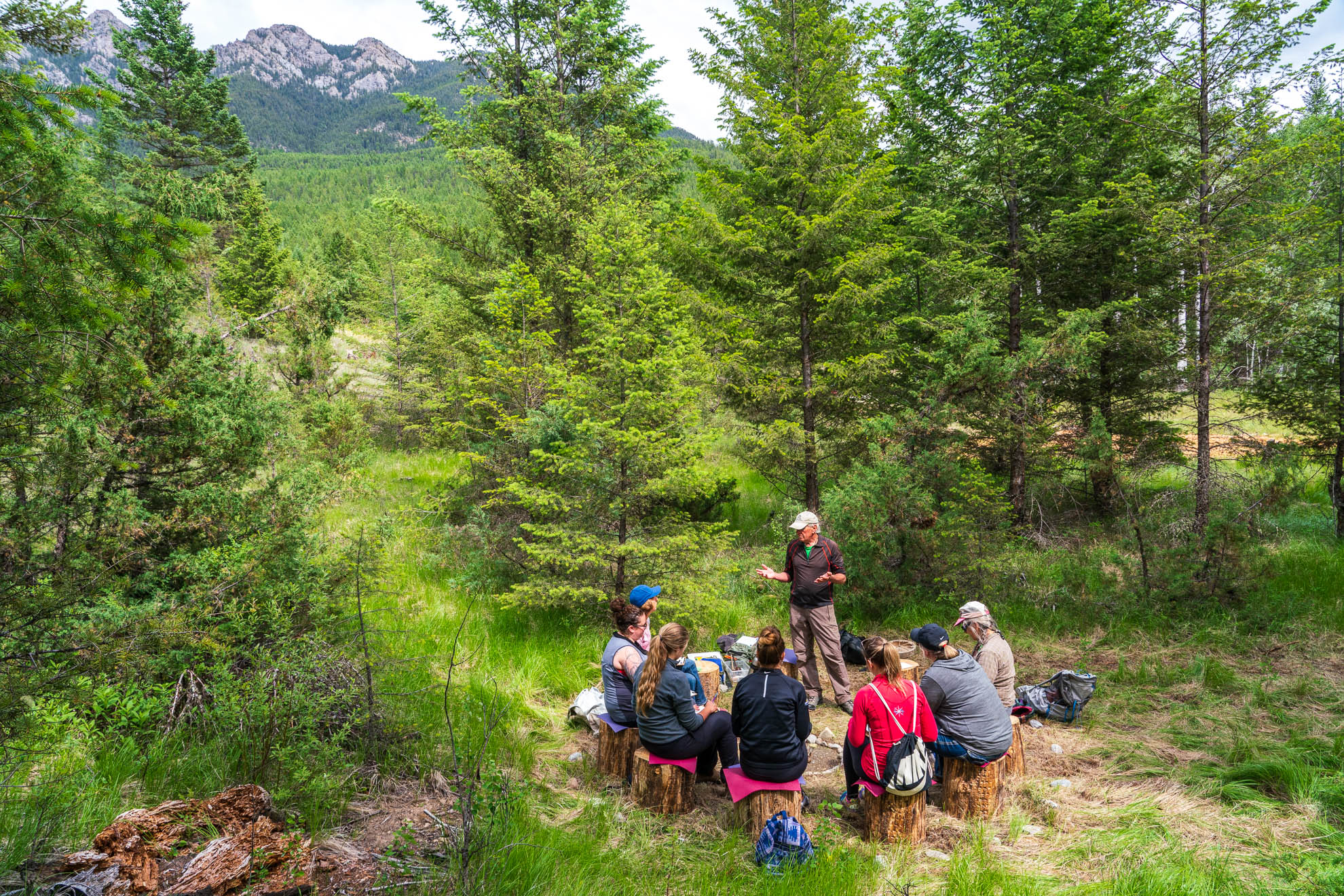 Forest Therapy