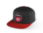 Wiseco 80th Anniversary Hat