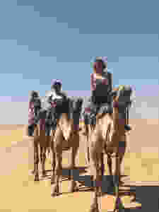 Camel photo shoot