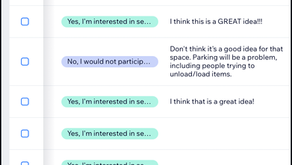 Screenshot of opinions from survey respondents