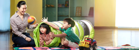 (上网学习)幼儿教育文凭(Diploma in Early Childhood Education, SEGI University)