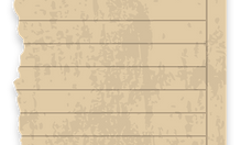 paper_bacha-05.png