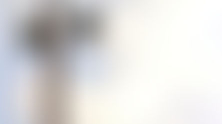 Hoe schrijf je een persbericht voor je position paper?