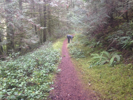 The One Who Calls Me Higher