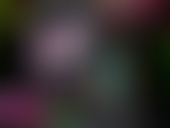 Interview with Rituals & Runes Author, N.D.T. Casale