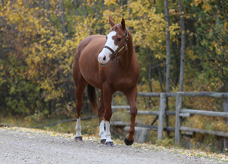 cloud mya walking_edited.jpg
