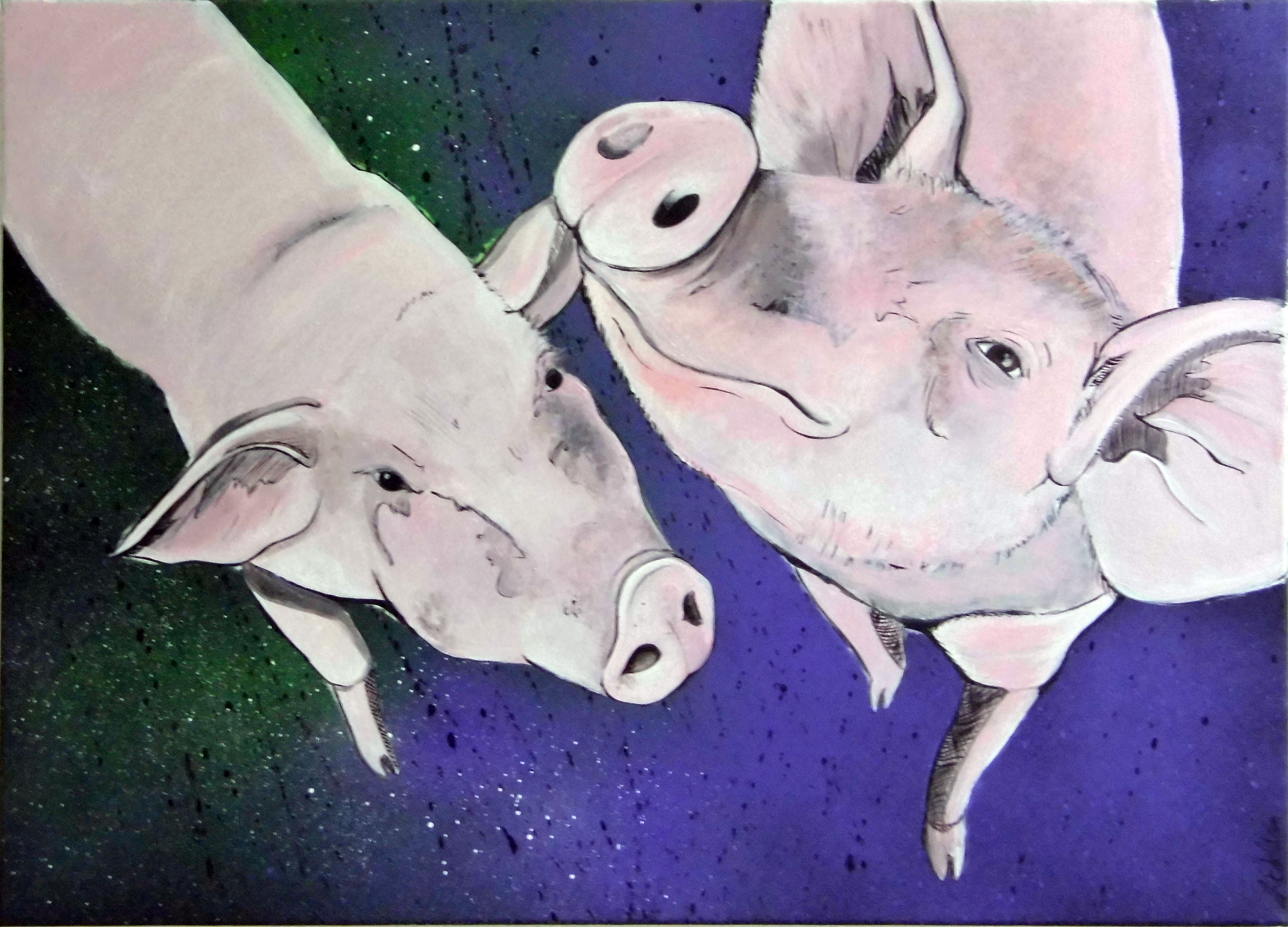 16_03_schweinchen
