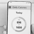 calories.JPG