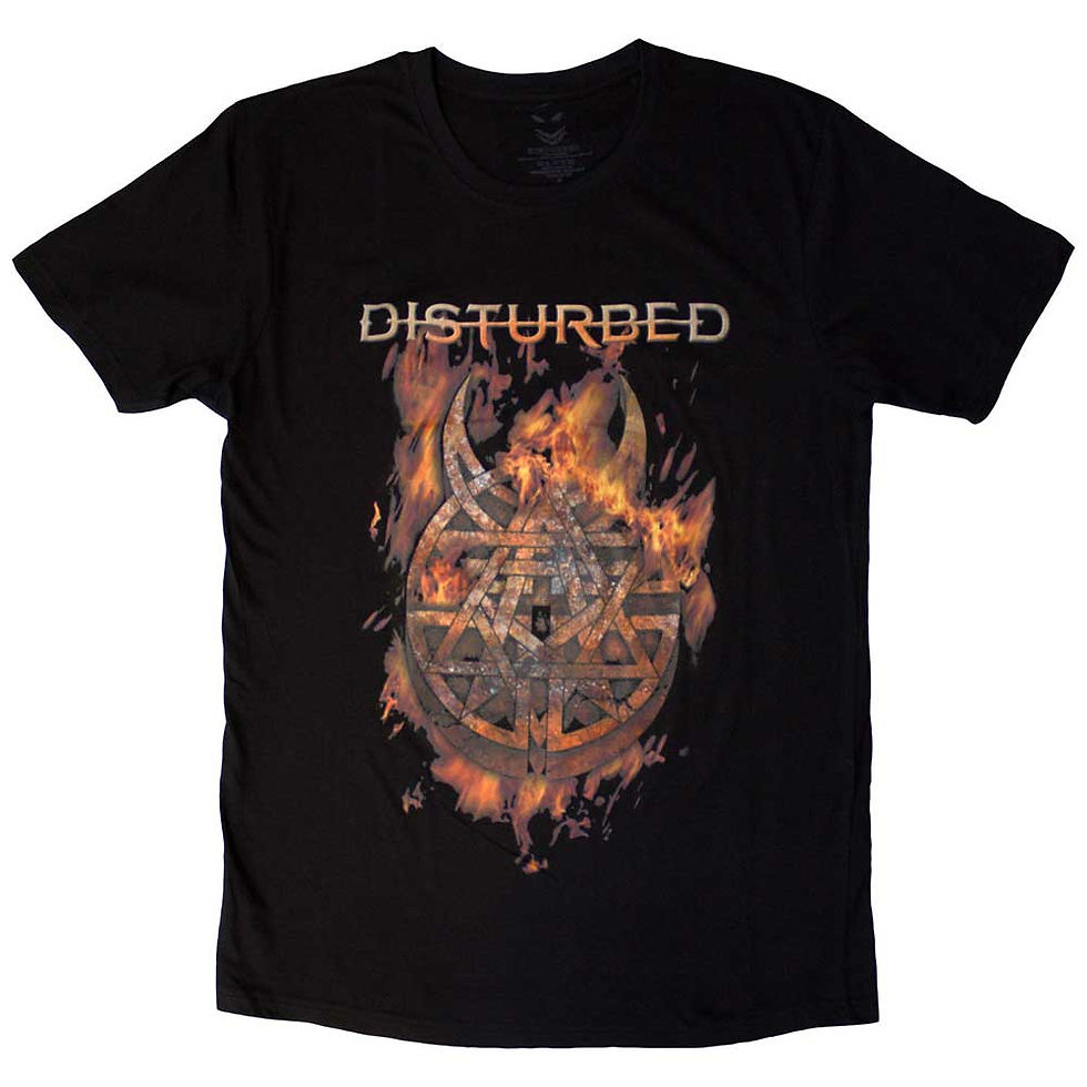 Black t-shirt with Disturbed flame emblem and bold white logo; unisex short-sleeve fit.