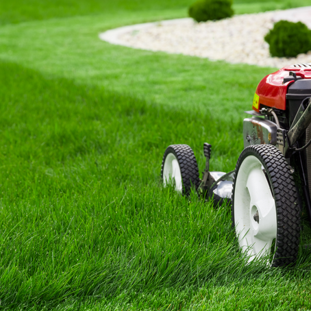 Tips For Getting Through The First Lawn Mowing of Spring