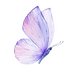6_edited.png