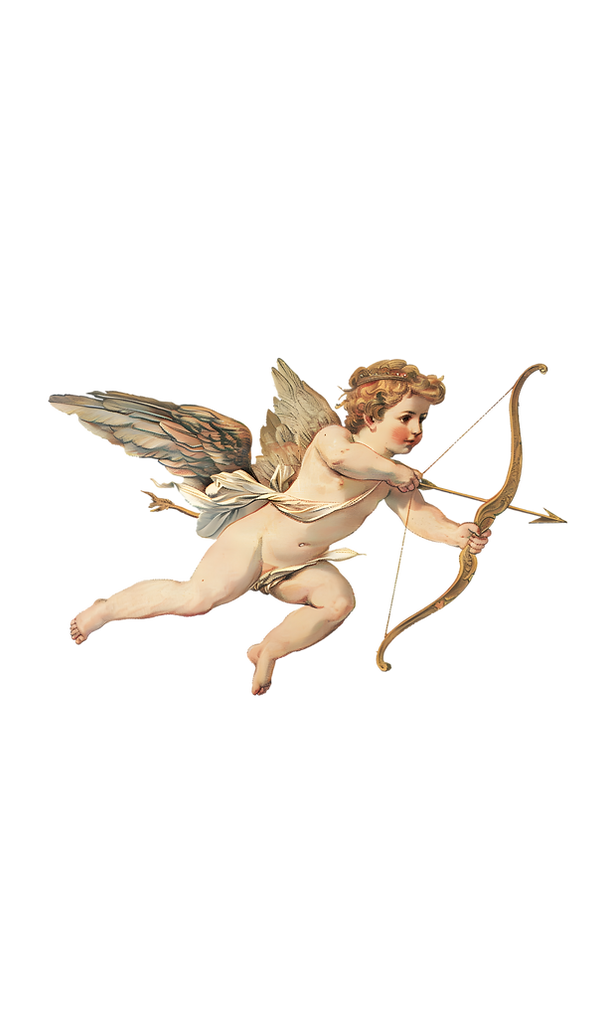 ערכת מיתוג עידן ופאם דיגיטל (6).png