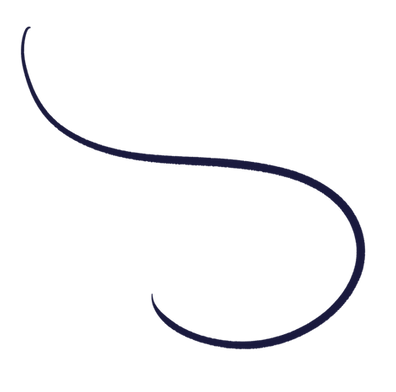 Sapphire Leela decorative brand line graphic