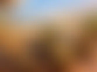 Aziatisch eten in Noordwijk voor elk moment